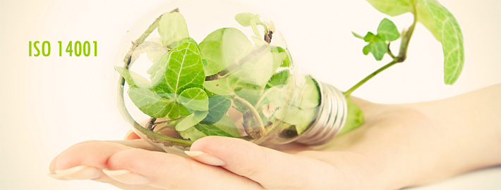 سیستم مدیریت محیط زیست  ISO14001:2015